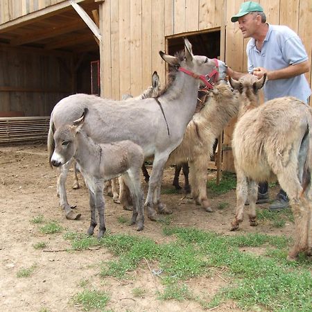 Tourist Farm Ob Izviru Krupe Villa Semic Exterior foto